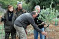 /album/galerie-photos/reboisement-plateau-olivier-luc-rossi-jpg/